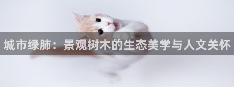 新宝GG上级：城市绿肺：景观树木的生态美学与人文关怀
