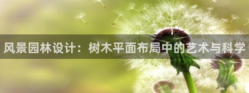 新宝gg下载官网下载