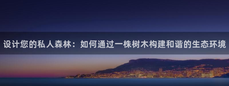 11新宝gg