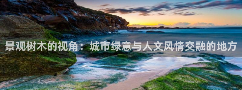 新宝gg娱乐注册：景观树木的视角：城市绿意与人文风情交融的地方