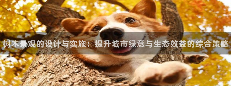 下载新宝gg怎么下载