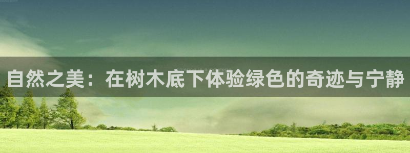 gg新宝时时彩