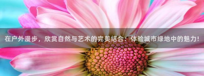 新宝gg主管
