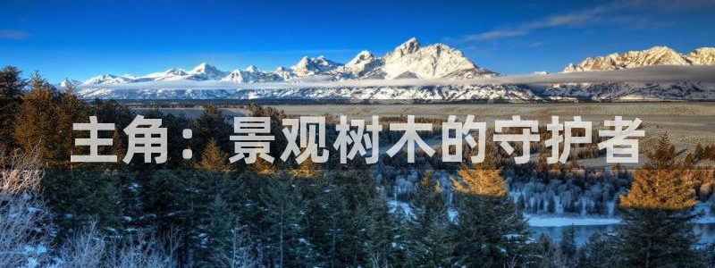 新宝gg代理