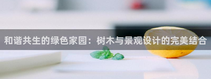 分分新宝gg