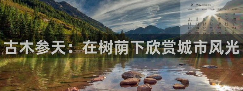 娱乐新宝GG
