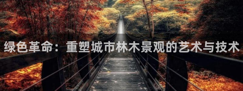 新宝gg注