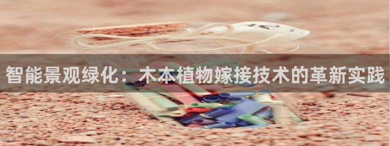 新宝gg什么