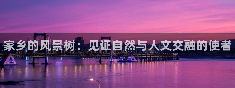 新宝gg吧