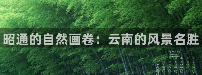 新宝gg如何代理