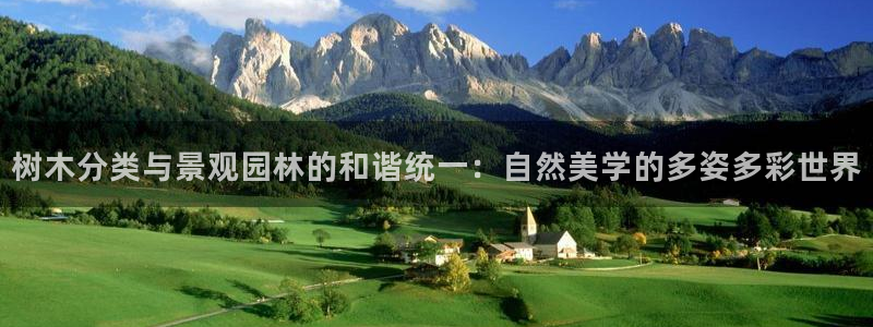 新宝gg手机版下载