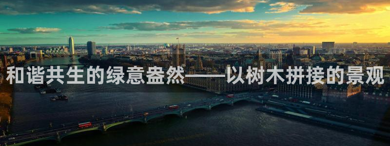 新宝gg专线