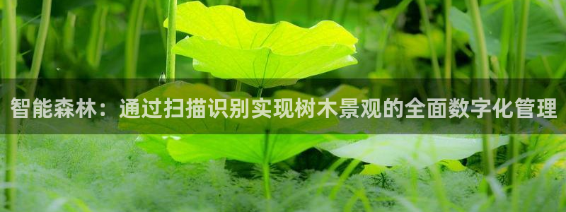 新宝GG都有哪些计划