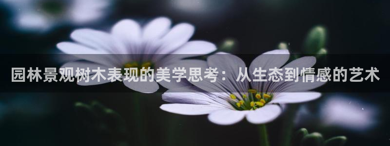 新宝新宝gg开户流程：园林景观树木表现的美学思考：从生态到情感的艺术