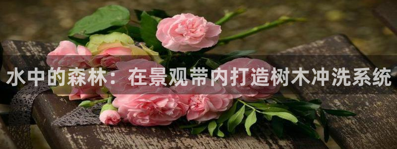 新宝gg主管开：水中的森林：在景观带内打造树木冲洗系统