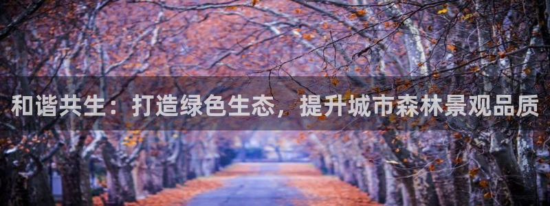 新宝GG专业团队