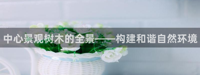 gg新宝创新