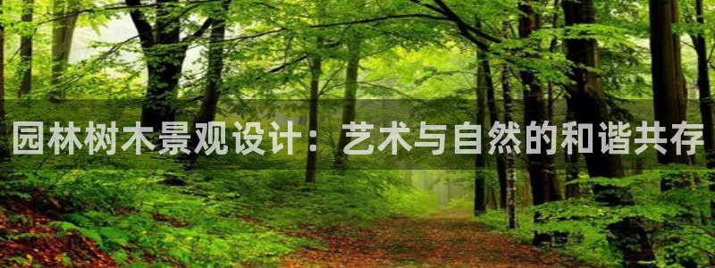 怎么代理新宝gg