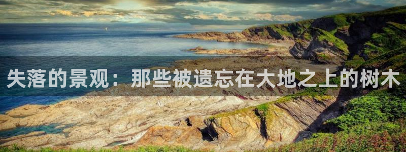 新宝gg主管都是谁