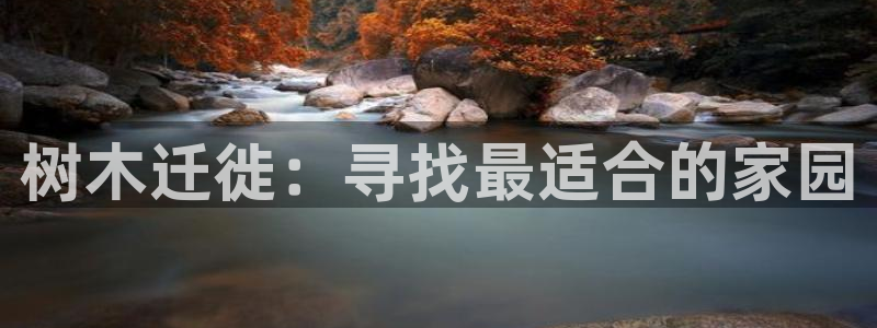 新宝gg平台反水：树木迁徙：寻找最适合的家园