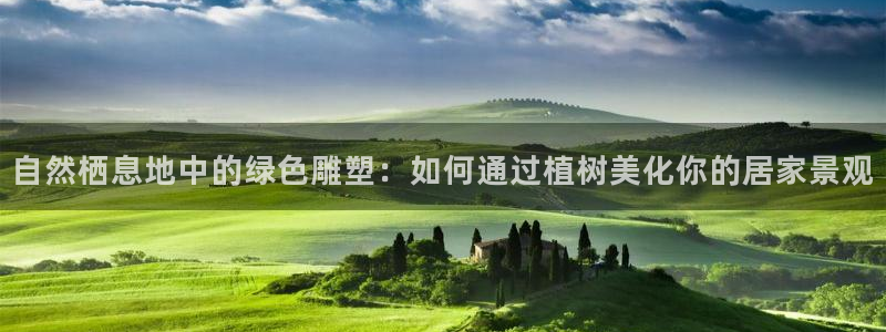 新宝gg招商-299136