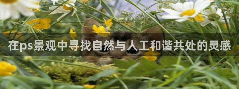 新宝gg帐号注册：在ps景观中寻找自然与人工和谐共处的灵感