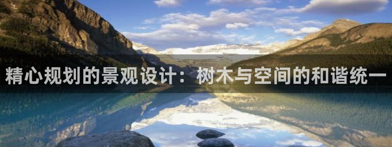 新宝GG管理