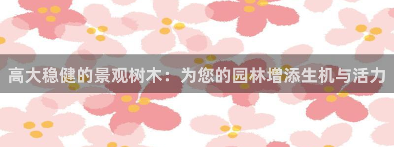 新宝gg
