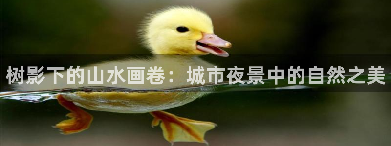 新宝gg平台下载安装