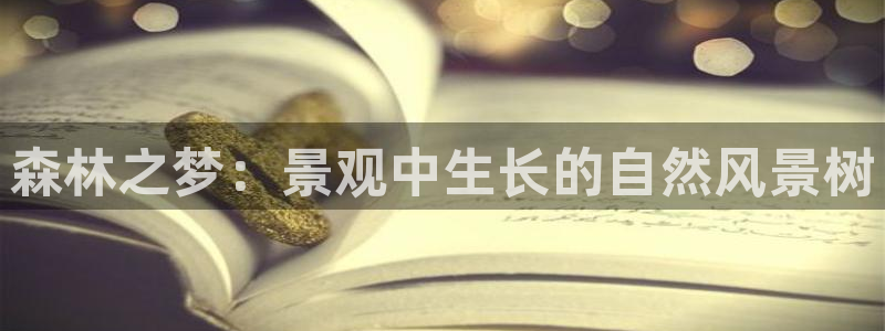 新宝新宝gg开户流程