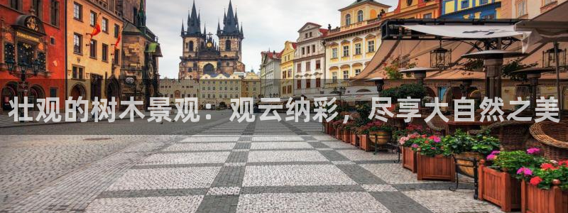 新宝gg怎么样