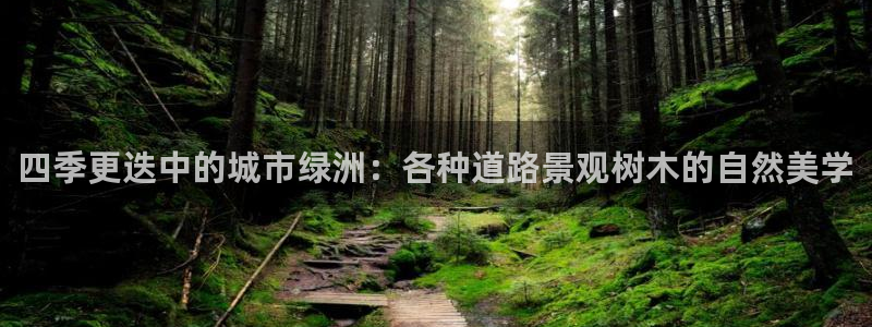 新宝gg 金苹果