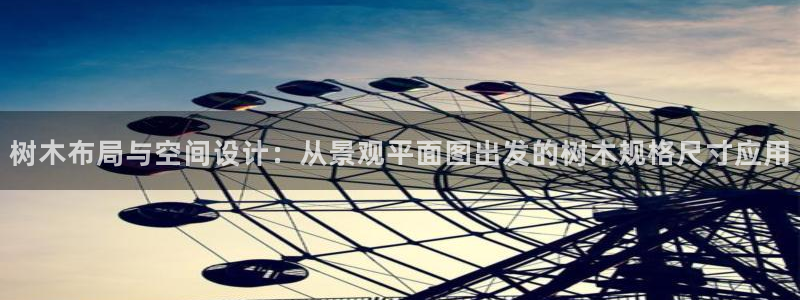 新宝GG上级