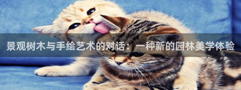 新宝GG官方域名