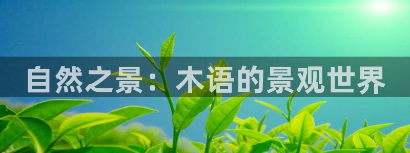 新宝GG电话