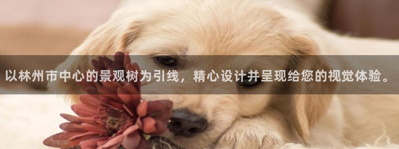 新宝gg体彩：以林州市中心的景观树为引线，精心设计并呈现给您的视觉体验。