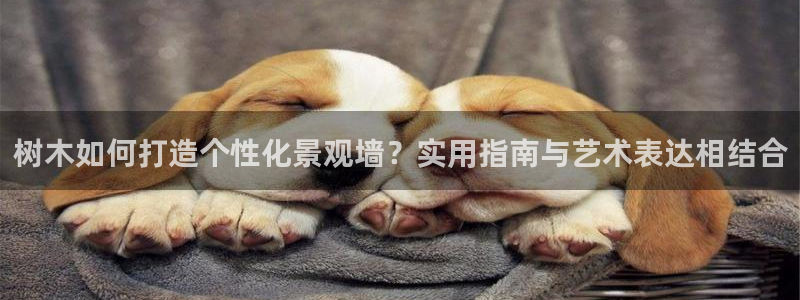 新宝gg龙腾：树木如何打造个性化景观墙？实用指南与艺术表达相结合