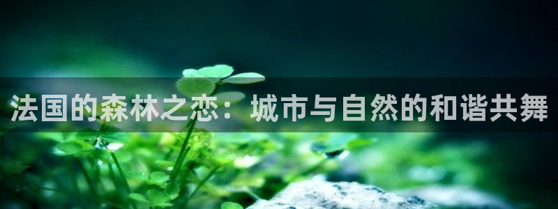 新宝gg维护：法国的森林之恋：城市与自然的和谐共舞