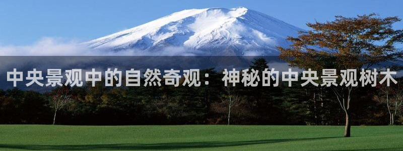 新宝gg开奖