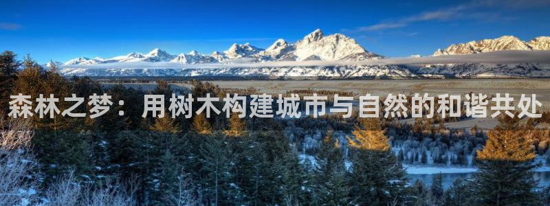 新宝gg如何代理