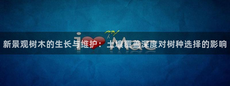 新宝gg图片