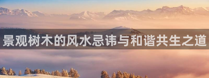 新宝gg开奖结果可信吗