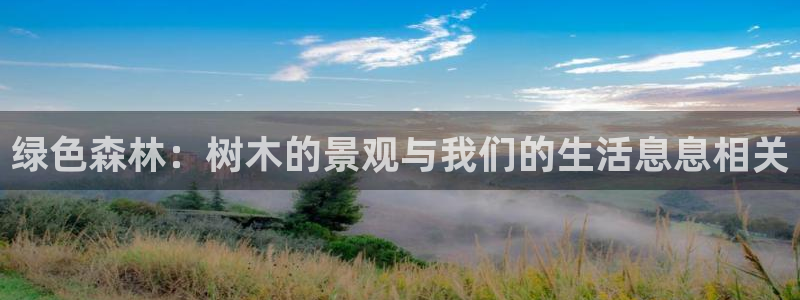新宝gg系列