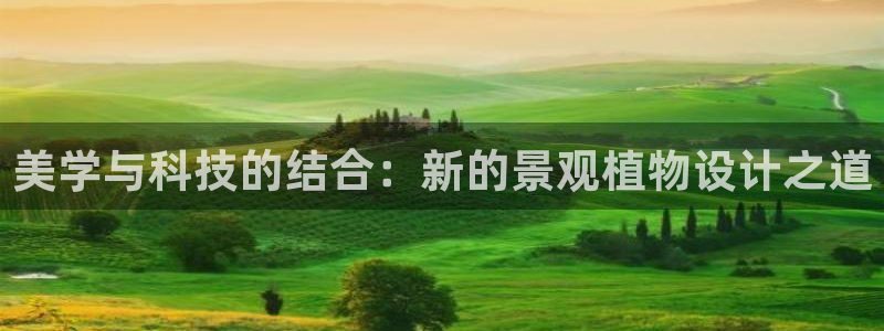 新宝gg 平台怎么样