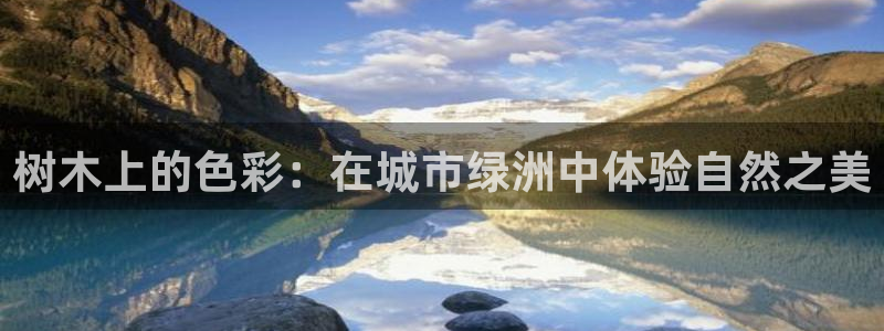 新宝gg dengludizhi