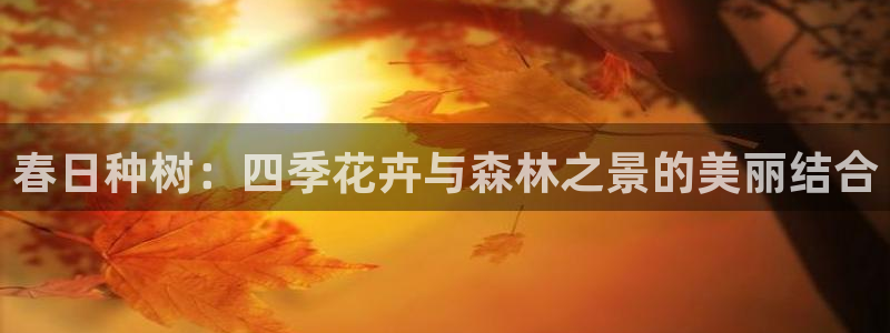 新宝gg官方下载