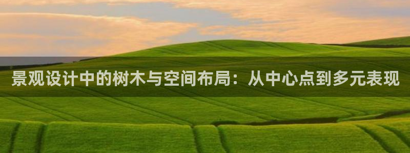 新宝gg官方主管