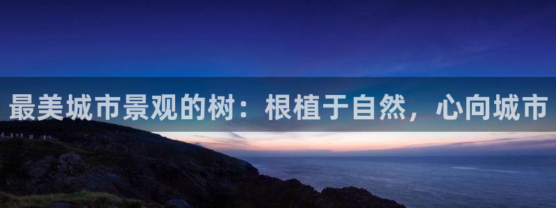 新宝6娱乐新宝gg