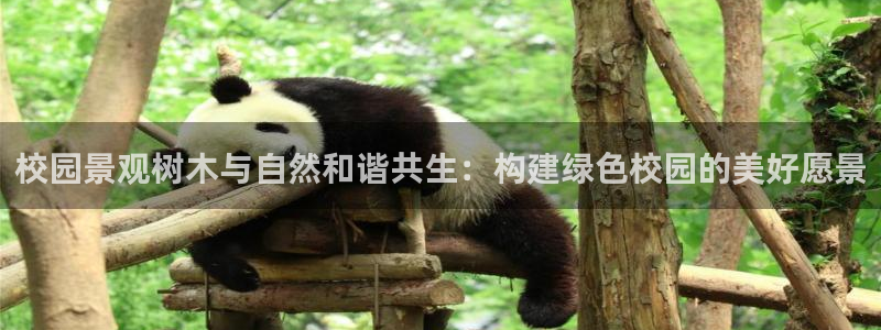 新宝GG无法充值