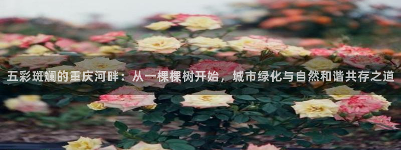 新宝gg开奖结果